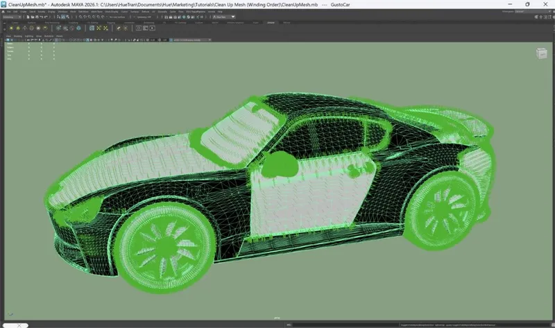 Screenshot of the input model