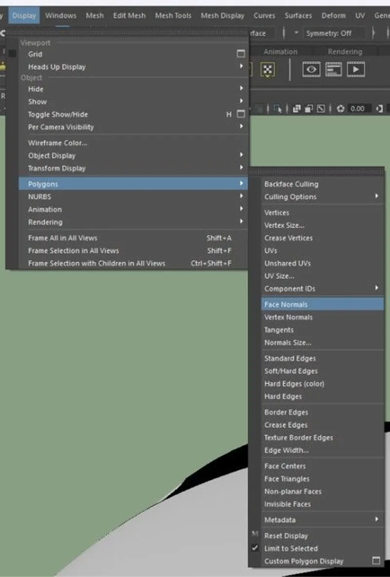 Screenshot of the input model