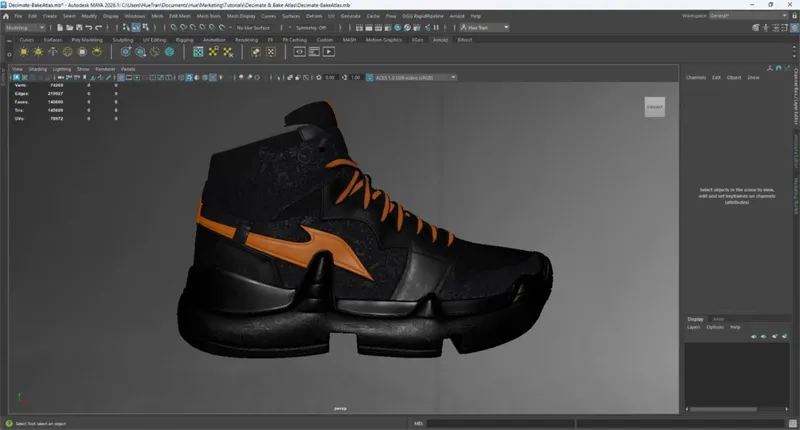 Screenshot of the input model