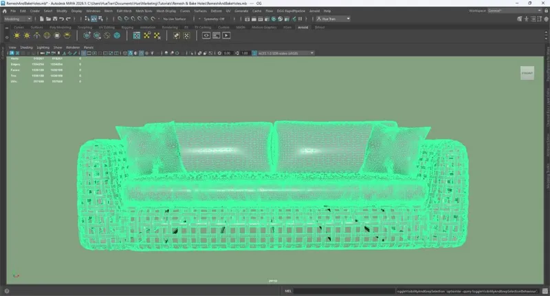 Screenshot of the input model