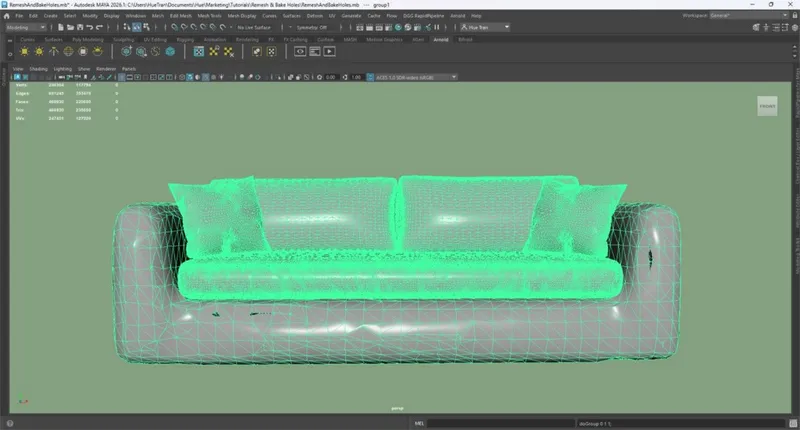 Screenshot of the input model