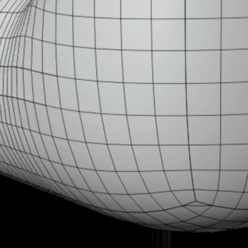 Quad Meshes illustrated