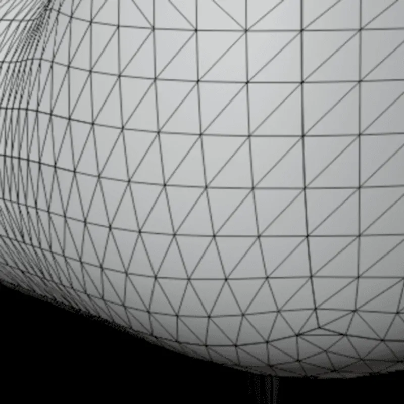 lack of support for Quad Meshes illustrated