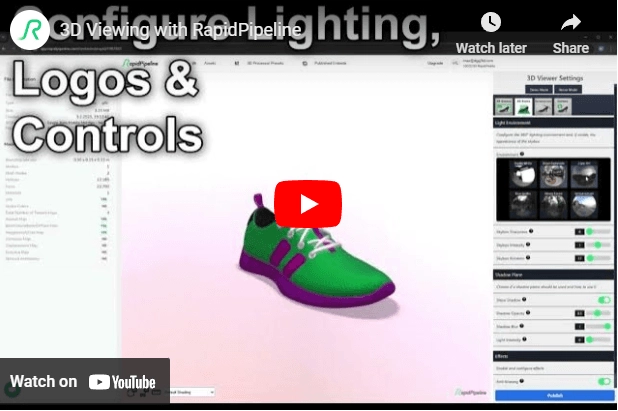 demo video of rapidpipeline 3D viewer