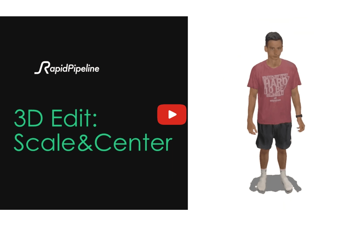 remote video facade